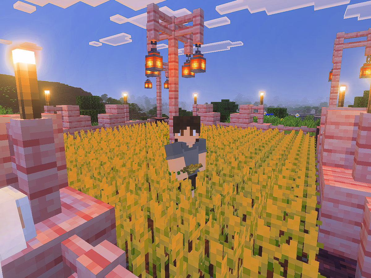 farm trigo garion